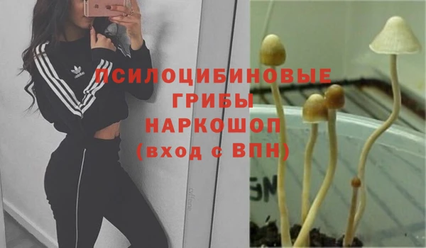 a pvp Вяземский