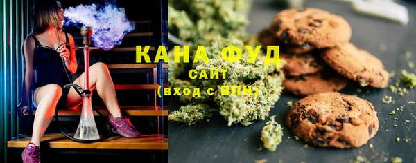 индика Ступино
