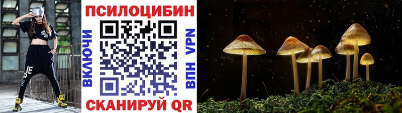 сайты даркнета как зайти  Исилькуль  Псилоцибиновые грибы мицелий  продажа наркотиков  блэк спрут ONION 